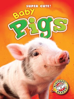 cover image of Baby Pigs